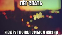лёг спать и вдруг понял смысл жизни