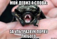 мой девиз 4 слова: за ультразвук порву любого