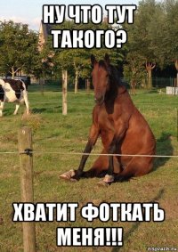 ну что тут такого? хватит фоткать меня!!!