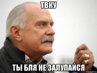 твку ты бля не залупайся