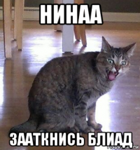 нинаа зааткнись блиад