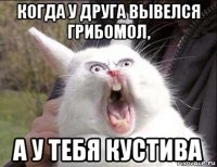 когда у друга вывелся грибомол, а у тебя кустива