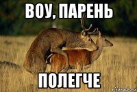 воу, парень полегче