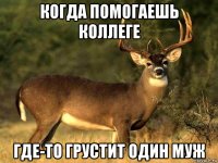 когда помогаешь коллеге где-то грустит один муж