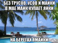 без трусов, усов и майки в мае майк купает яйки на берегах ямайки