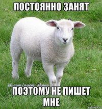 постоянно занят поэтому не пишет мне