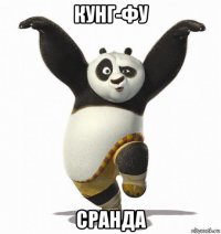 кунг-фу сранда