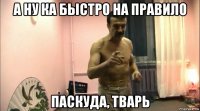 а ну ка быстро на правило паскуда, тварь
