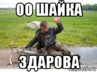 оо шайка здарова