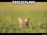 понедельник 