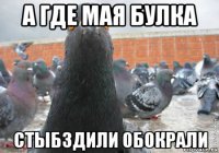 а где мая булка стыбздили обокрали