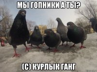 мы гопники а ты? (с) курлык ганг