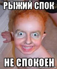 рыжий спок не спокоен