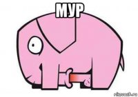 мур 