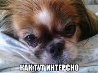  как тут интерсно
