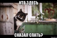 кто здесь сказал спать?