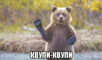  квупи-квупи