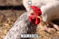 м мамкоеб