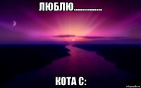 люблю.............. кота с: