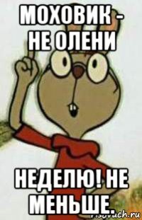 моховик - не олени неделю! не меньше.