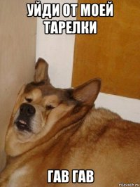 уйди от моей тарелки гав гав