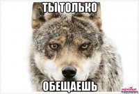 ты только обещаешь