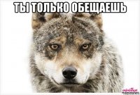 ты только обещаешь 