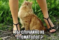  ты случайно не стоматолог ?