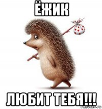 ёжик любит тебя!!!