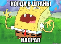 когда в штаны насрал