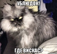 ублюдок! где вискас?