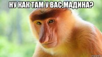 ну как там у вас,мадина? 