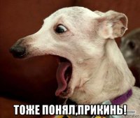  тоже понял,прикинь!