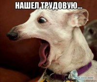 нашел трудовую... 