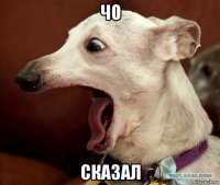 чо сказал
