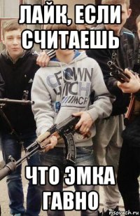 лайк, если считаешь что эмка гавно