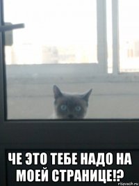  че это тебе надо на моей странице!?