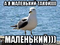 а я маленький такой)))) маленький)))