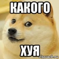 какого хуя