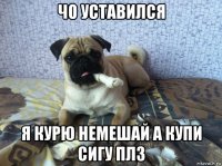 чо уставился я курю немешай а купи сигу плз