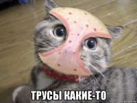  трусы какие-то