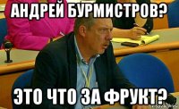 андрей бурмистров? это что за фрукт?