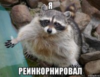 я реинкорнировал