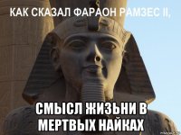  смысл жизьни в мертвых найках