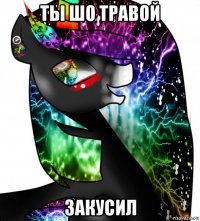 ты шо травой закусил