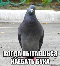  когда пытаешься наебать бука