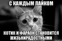 с каждым лайком котик и фараон становится жизьнирадостными