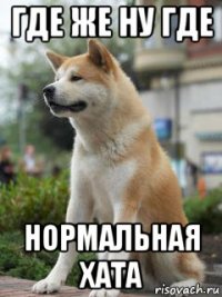где же ну где нормальная хата