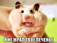  я не жрал твое печенье