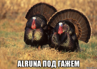  alruna под гажем